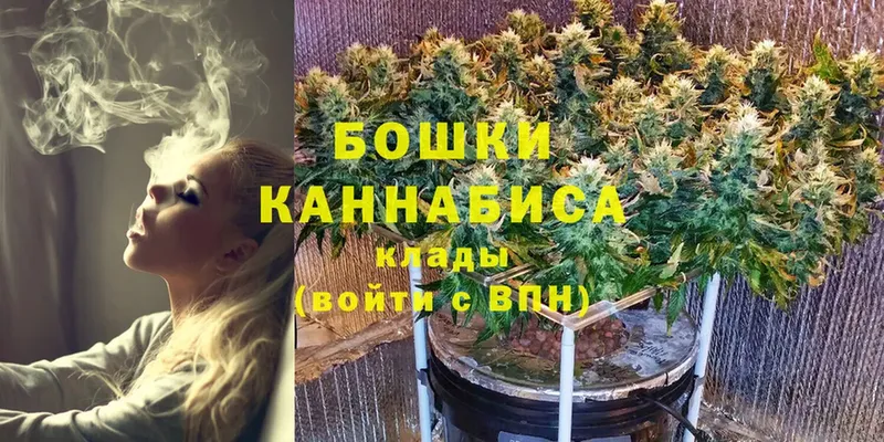 Конопля семена  Купино 